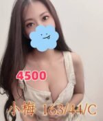 台南外送茶 小梅 住家/旅館