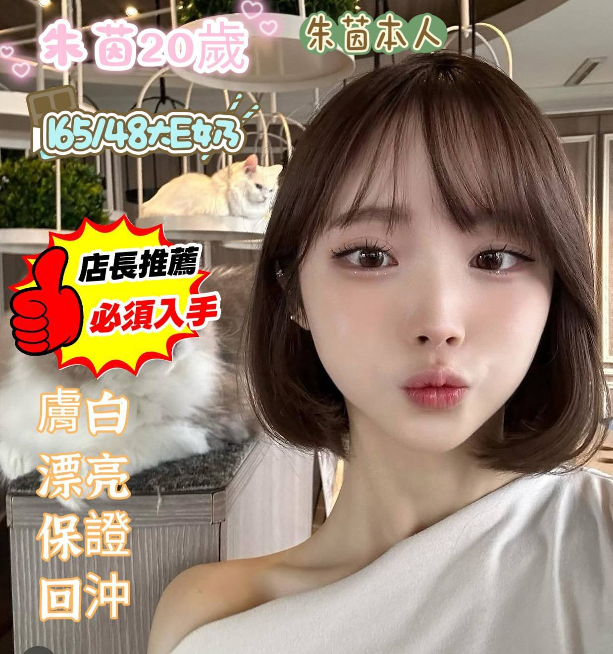4699188_0 台南定點 朱茵:圖片 1