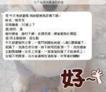 嘉義定點 柳双双：圖片 3