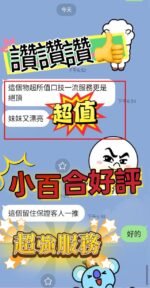 新營區定點 小百合:圖片 2