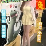 桃園外約 兔兔