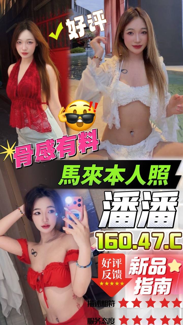 本 中區定點 潘潘:圖片 1