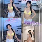 中壢區【復興館】小果寶 (越)