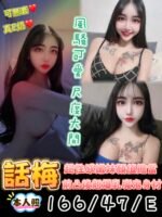 永康區定點 話梅