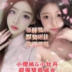 楠梓區定點 小櫻桃