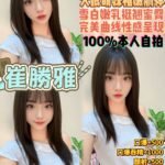 桃園民族館 崔勝雅