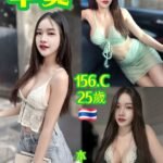 板橋區定點 羊羹