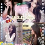 中和區定點 小叮鈴