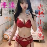 嘉義西區定點 陳漁