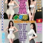 西門區定點 小草莓