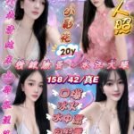 新竹東區金山街 越南 小彩花